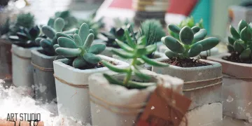 blog
