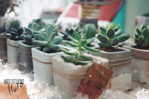 blog