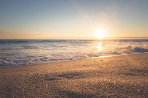 blog